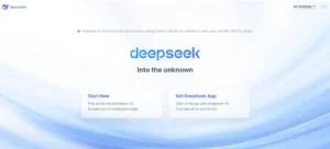 DeepSeek Website Interface