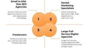 Average Dental SEO Cost by Provider Type
