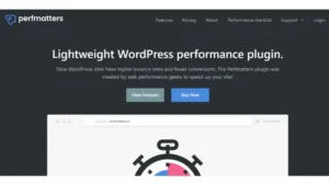 Perfmatters (WordPress Speed Optimization Premium Plugins)